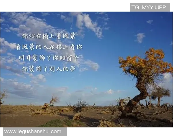 足球明星的经典语录与人生哲学探讨